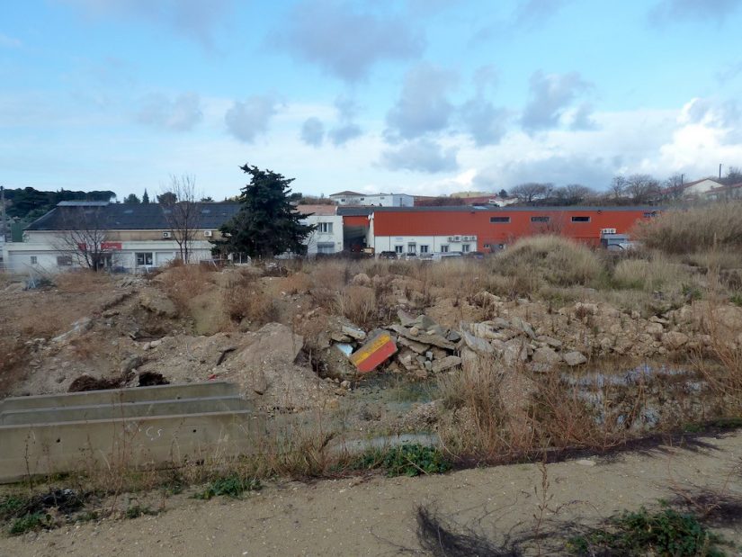 Même abimé, un terrain urbain peut se transformer en potager !