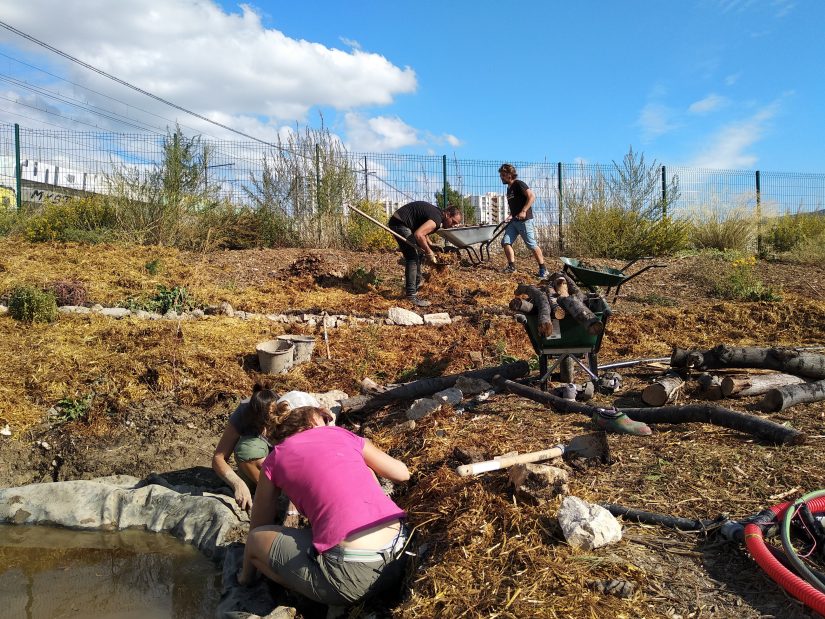 Même abimé, un terrain urbain peut se transformer en potager ! 5