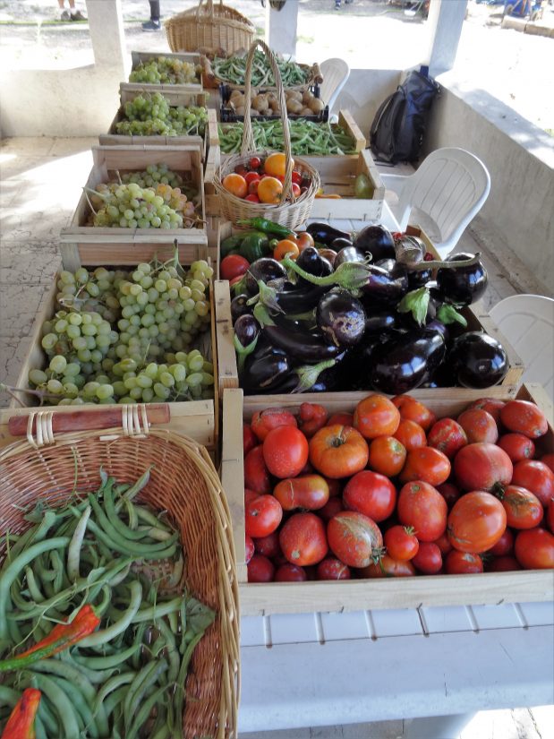 Que cultive-t-on dans un jardin partagé ? 3