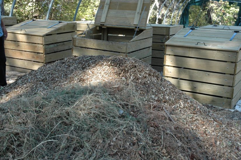 Un campus pionnier dans l’agriculture urbaine 7