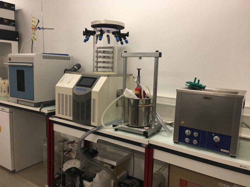 Des plantes pour empoisonner Alzheimer et Parkinson 4