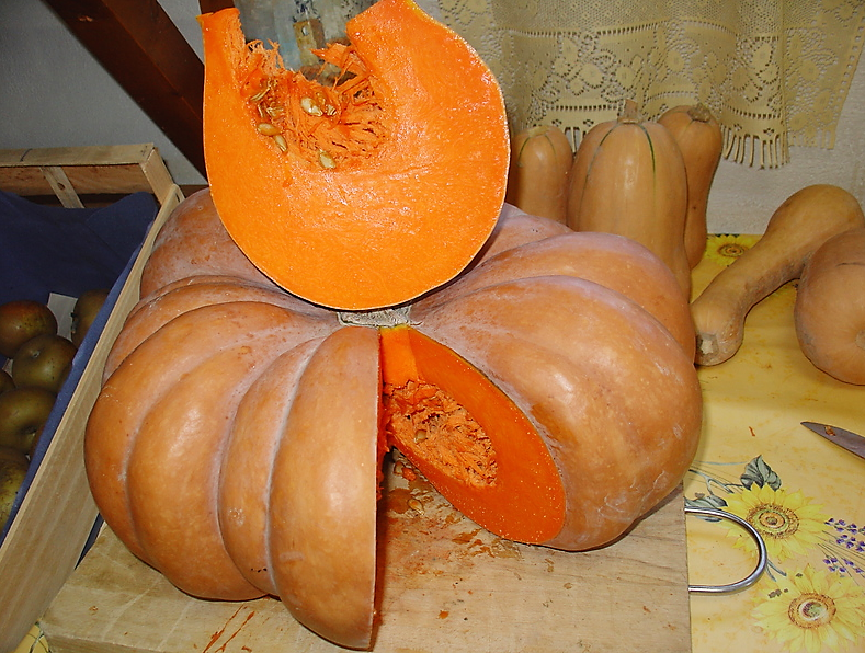 Maurice Audier, certifié bio avant la mode 3