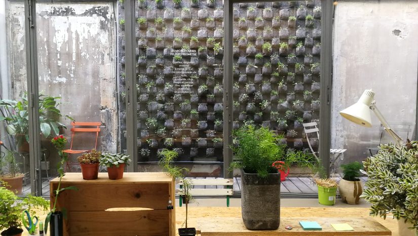 La Cité de l’agriculture, petits actes pour grands changements 1