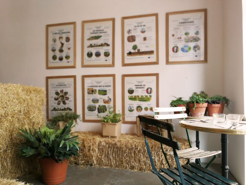 La Cité de l’agriculture, petits actes pour grands changements 3