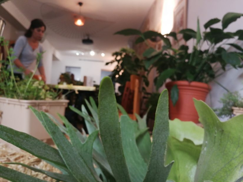 La Cité de l’agriculture, petits actes pour grands changements 4