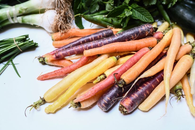 La Cité de l’agriculture, petits actes pour grands changements 5