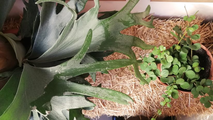 La Cité de l’agriculture, petits actes pour grands changements 7