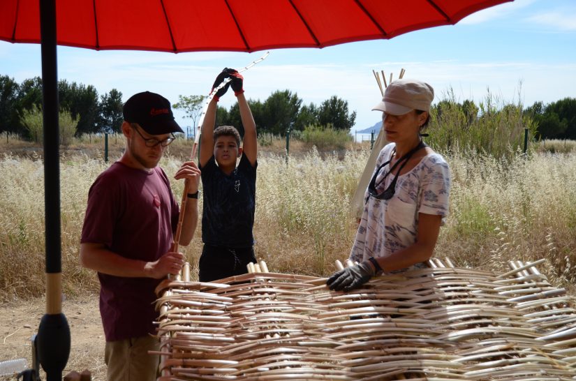 Foresta : un parc d’un nouveau genre