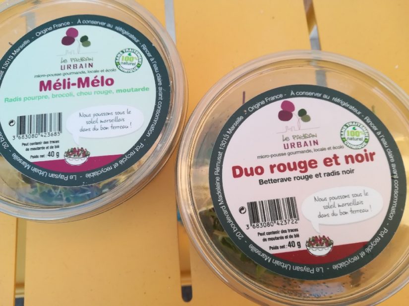 Paysan Urbain, vecteur d’insertion pour les personnes en marge 10