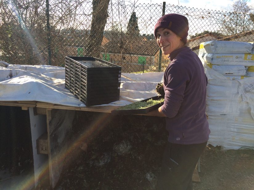 Paysan Urbain, vecteur d’insertion pour les personnes en marge 8