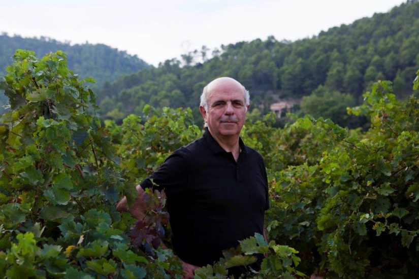 Réchauffement climatique : comment les viticulteurs provençaux s’adaptent 2