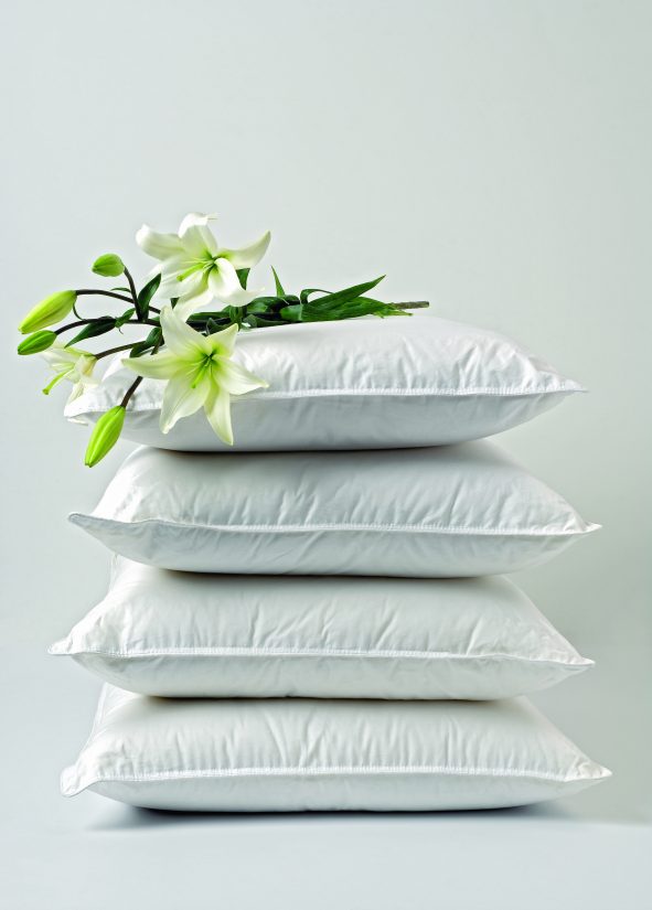 Un biocide efficace mais inoffensif - ça change de Monsanto ! 3