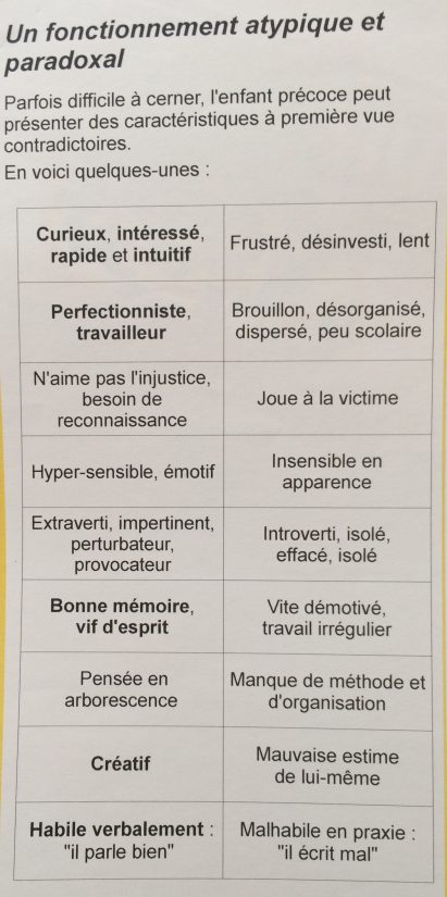 Zébra, une structure pour les adolescents atypiques en rupture scolaire 8