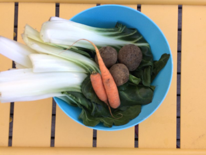 Jeûner pour retrouver sa vitalité : info ou intox ? 2