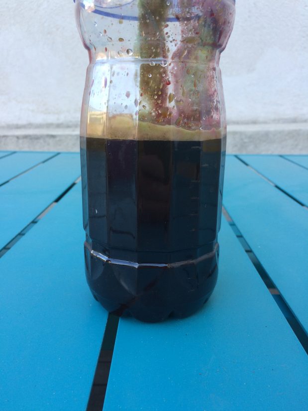 Jeûner pour retrouver sa vitalité : info ou intox ? 3