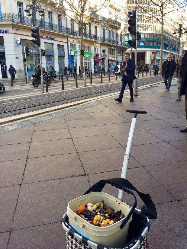 [Série] Autopsie d’une poubelle #3 : De la mite au logis 2