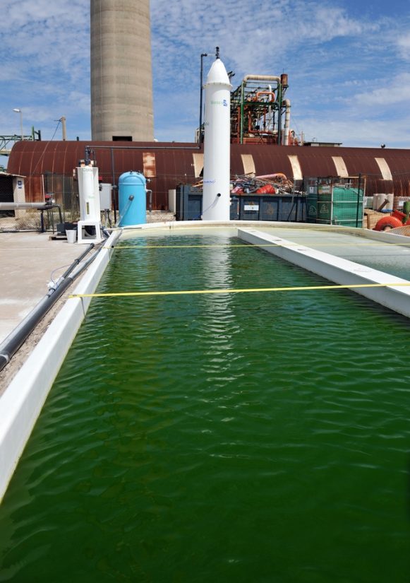 Des fumées industrielles aux microalgues : un projet pionnier en Europe validé à Fos 2