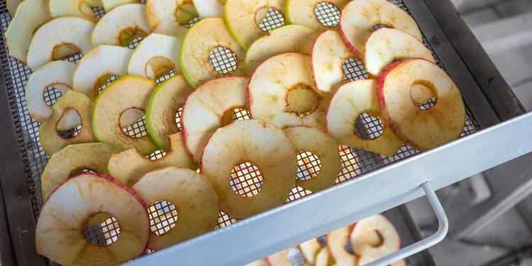 Nadia Sammut, la Calamity Jane de la Gastronomie Responsable 4