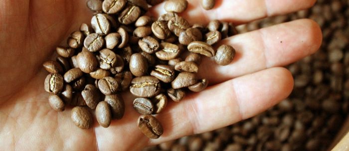 Un voilier cargo plein de vin, de café et de chocolat 4