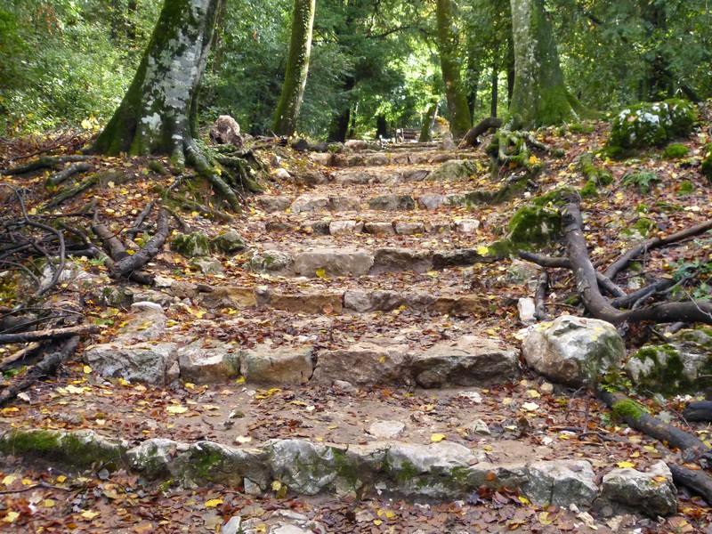 La Sainte-Baume et Boscodon décrochent le label « Forêt d’exception »