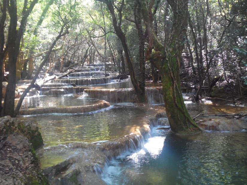 La Sainte-Baume et Boscodon décrochent le label « Forêt d’exception » 4