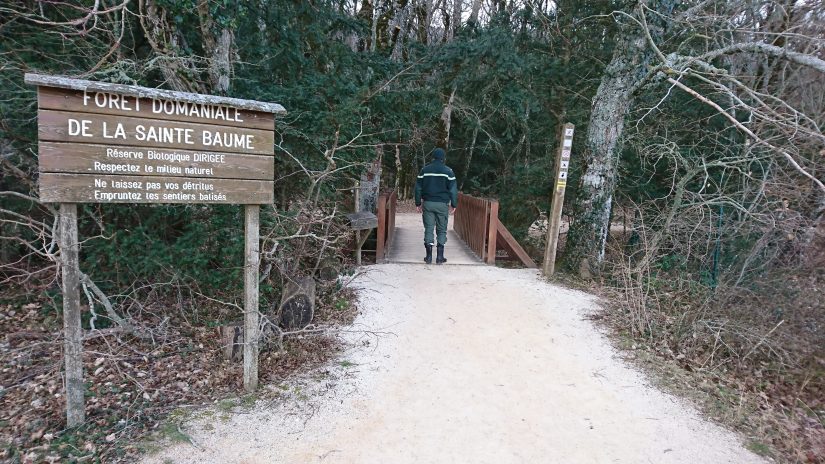 La Sainte-Baume et Boscodon décrochent le label « Forêt d’exception » 5