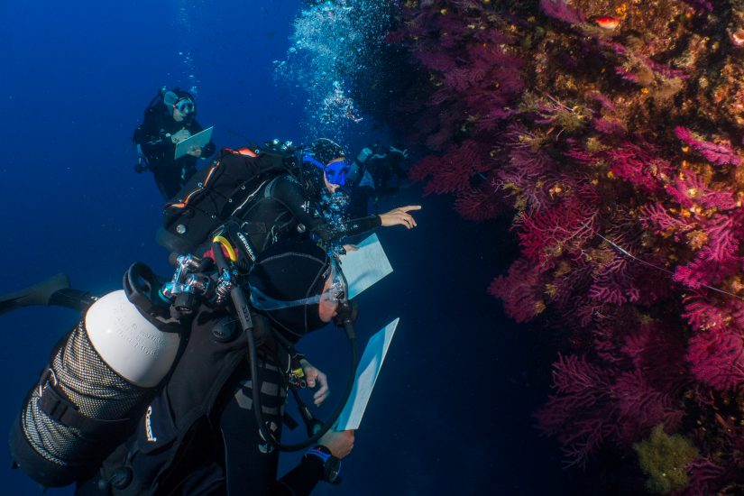 Fais comme pour tes légumes, achète du poisson local et de saison 2