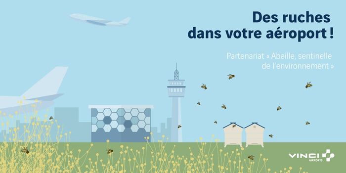L’aéroport de Hyères fait voler les abeilles