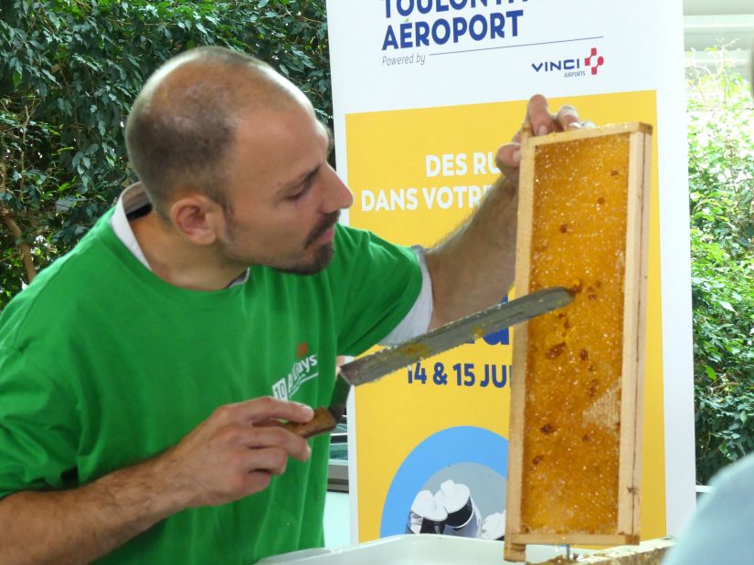 L’aéroport de Hyères fait voler les abeilles 1