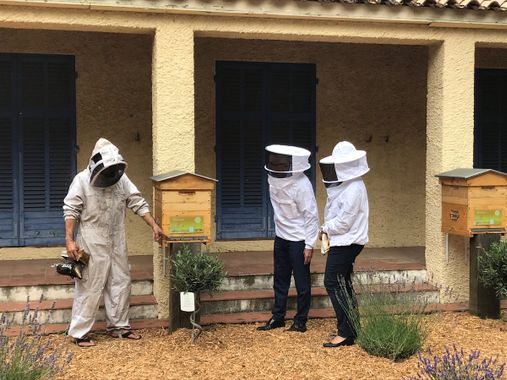 L’aéroport de Hyères fait voler les abeilles 2