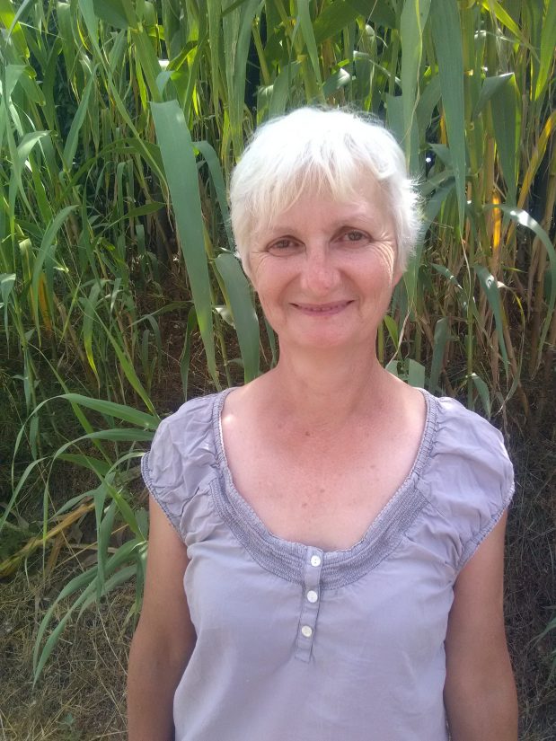 Projet social sur île dorée 1