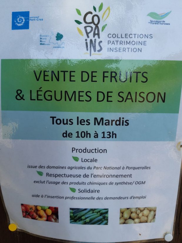 Projet social sur île dorée 4