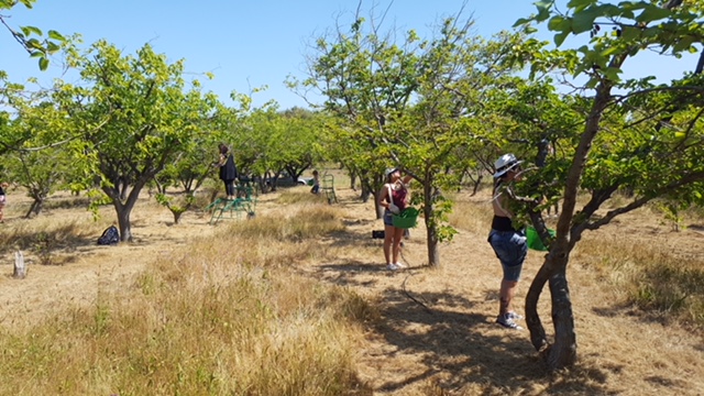 Projet social sur île dorée 5