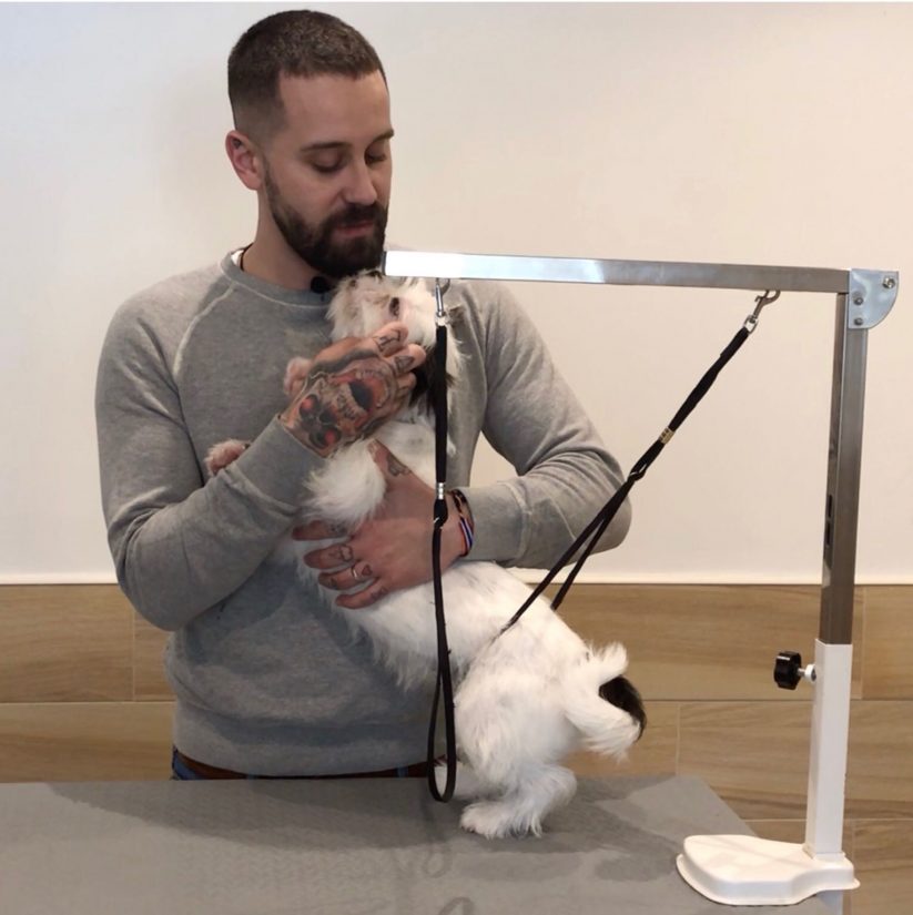 Adam et Virginie Tordjmann, toiletteurs pour les animaux de la SPA