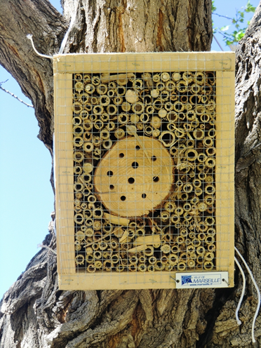 Biodiversité : ce qu’en disent les abeilles 4