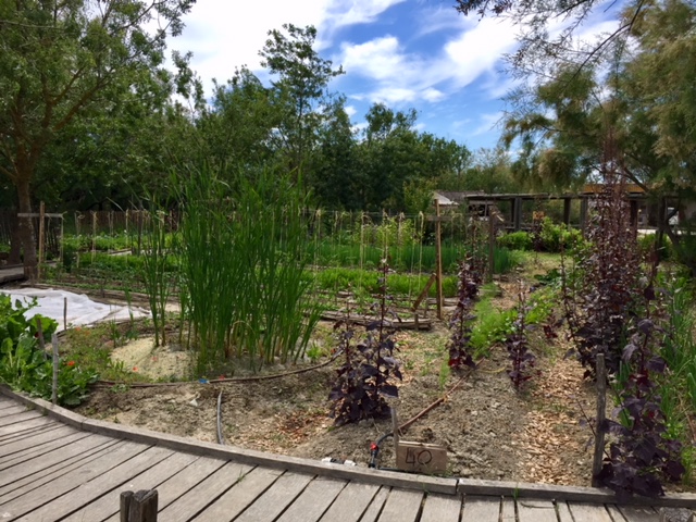 Les Marais du Vigueirat, 100% éco-responsables (ou presque 3