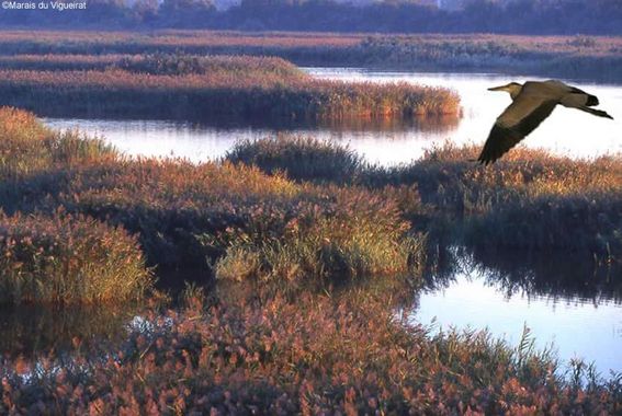 Les Marais du Vigueirat, 100% éco-responsables (ou presque 4