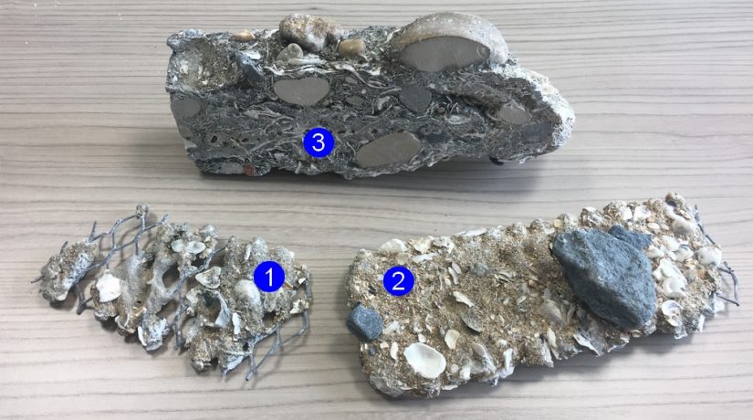 Du béton 100% naturel contre l’érosion du littoral