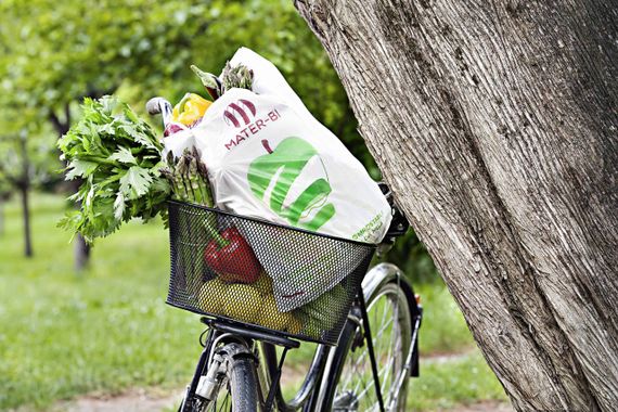 Haro sur les plastiques 3