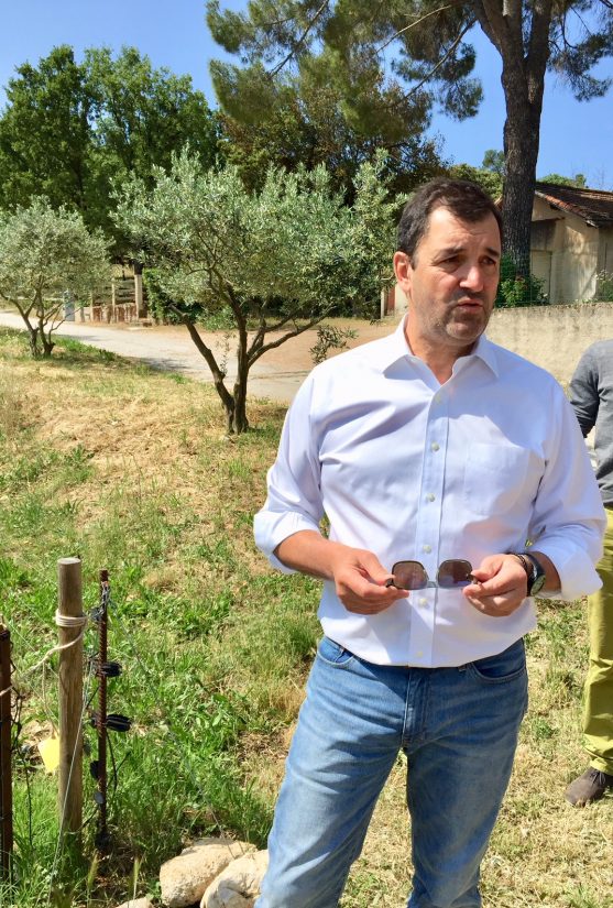 Les bonnes pratiques du domaine viticole de L’Escarelle 3