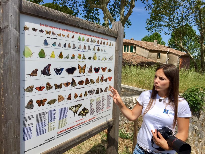 Les bonnes pratiques du domaine viticole de L’Escarelle 6