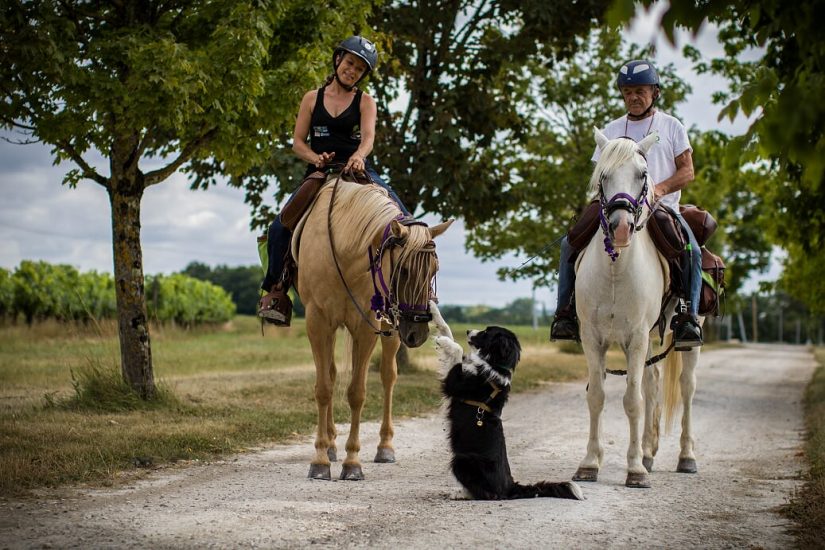 Leçon de vie… pour en sauver d’autres 3