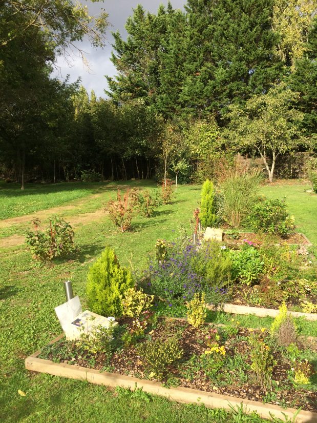 Cimetière 100% naturel, je veux le même ! 1