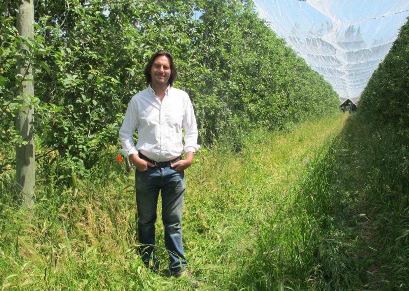 Les araignées, ces petites bêtes qui nous veulent du bien 3