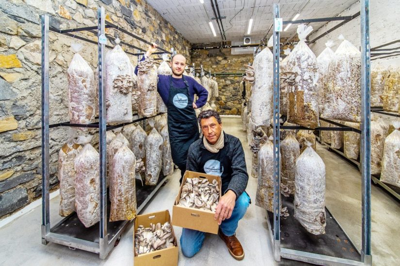Des biodéchets aux champignons de Marseille 1