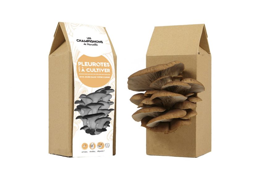 Des biodéchets aux champignons de Marseille 2