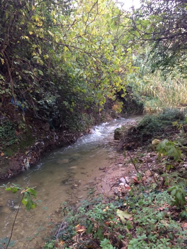 Les Marseillais retrouvent leur paradis 3