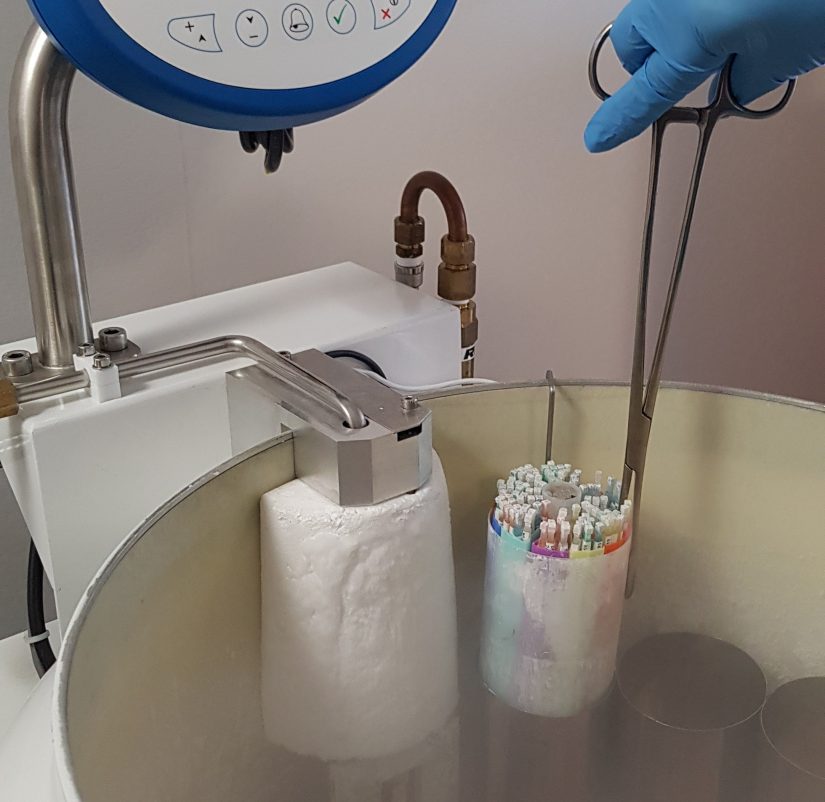 L’accès aux origines fait débat 1