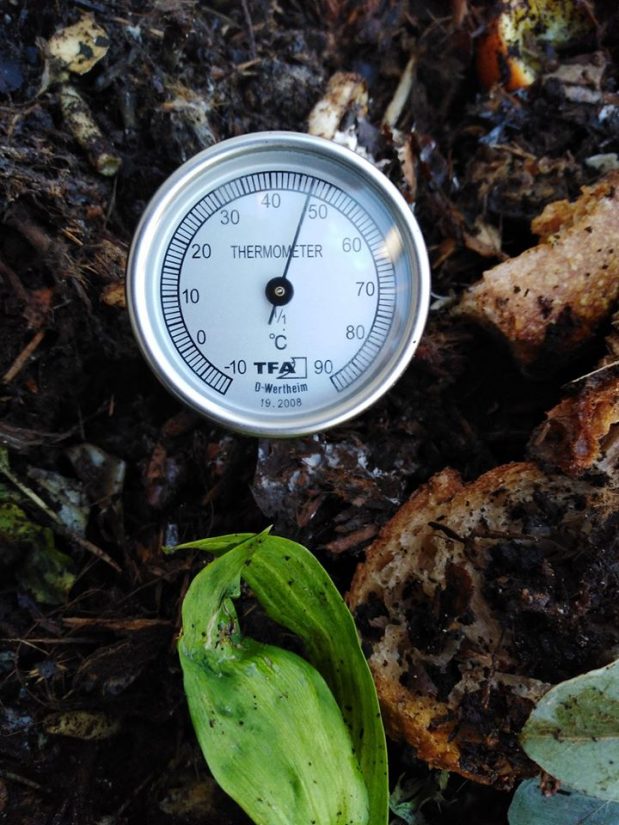 [Série] Biodéchets #1 Les Alchimistes transforment les déchets des chefs en or vert