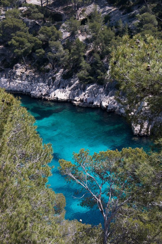C’est quoi au juste la biodiversité ? 3